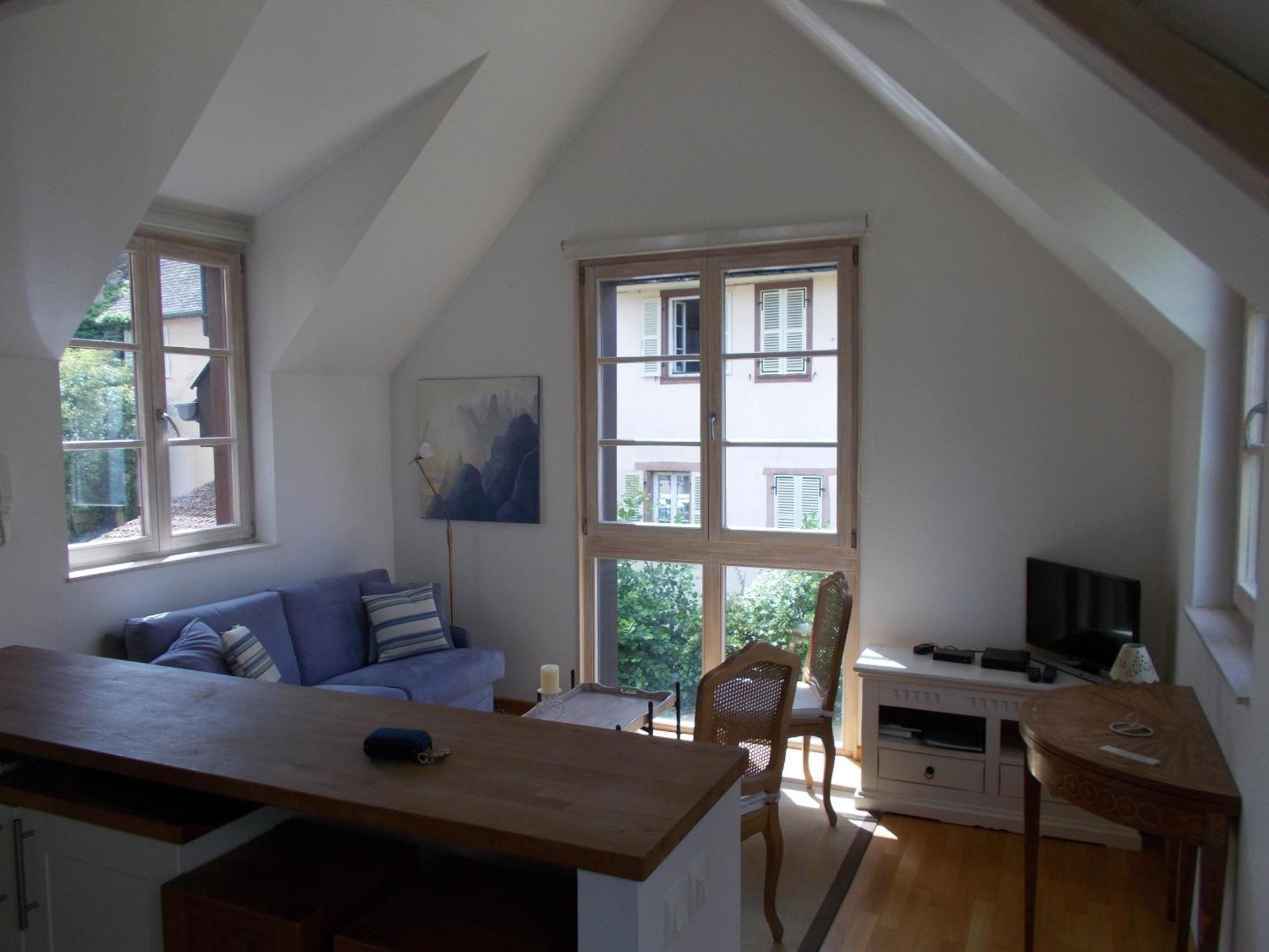 เปอติต เวนิส Apartment กอลมาร์ ภายนอก รูปภาพ